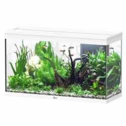 AQUARIUM SPLENDID AQUATLANTIS 100X40X61CM - 202L