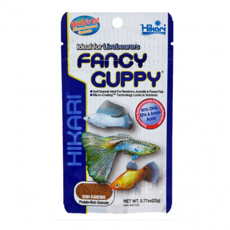 hikari fancy guppy