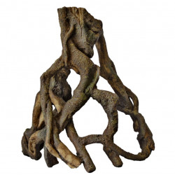 SUPERFISH MANGROVE ROOT L