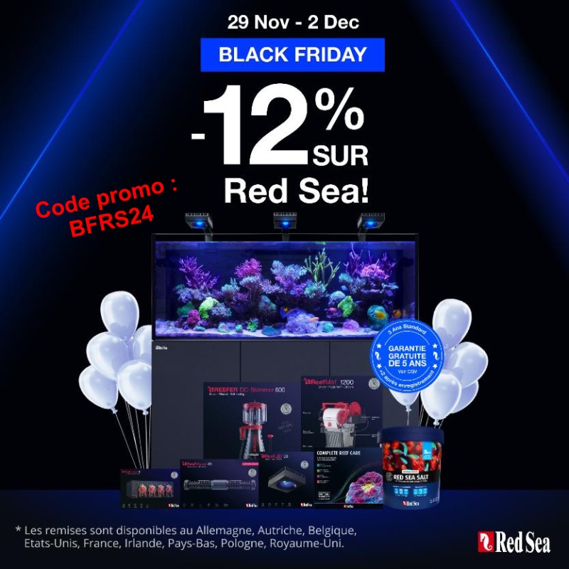 Black Friday Red Sea 2024